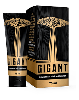 Xel Gigant